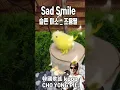 Lagu #슬픈 미소 #조용필 #Sad Smile CHO YONG PIL #kpop 韓國歌謠