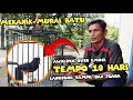 Download Lagu Sekolah murai spesialis murai batu rusak ‼️ dan tips memelihara murai batu buat pemula