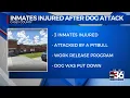 Inmates injured after dog attack
