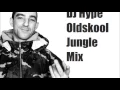 Download Lagu DJ Hype OldSkool Jungle Mix