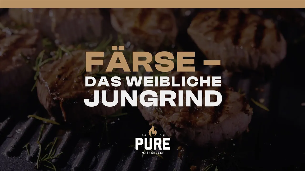 Färse – Weibliches Jungrind