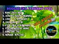 Download Lagu SKA REGGAE FULL ALBUM PILIHAN || DIAM LEBIH BAIK