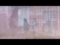 Cranes - by Hwang Sun-won a reimagining by Bodine Media Club