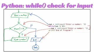 Python Lesson28 while loop to check for a number