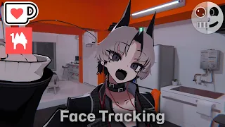 SiuSiu - Face Tracking Add on