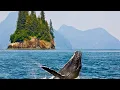 Download Lagu Beautiful Relaxing Music, Peaceful Soothing Instrumental Music, \