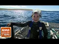 Download Lagu Mit dem Hai unter Wasser | Reportage für Kinder | Anna und die wilden Tiere