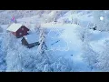Nora En Pure  Us Polar Inc Remix (Visualizer)