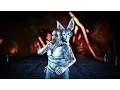 Download Lagu Patch 257: Giant Bee, Daeodon, Liopleurodon, Kentrosaurus, Tek Cave, \u0026 Ascension!