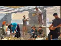 Download Lagu From Nima's Toothache to Ali's Family Challenge: Building a Roof with Nomadic Community