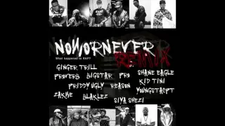 dj switch now or never remix official audio 
