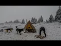 2 Days Winter Camping in a Snowstorm at 1847m | Hot Tent Survival Camping with Dogs
