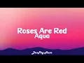 Aqua - Roses Are Red (lyrics)