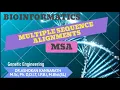 Multiple Sequence Alignments MSA