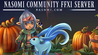 The Nasomi Experience FF11 Private Server