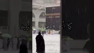 سأقبل يا خالقي من جديد اسلام صبحي 