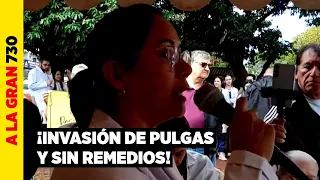 “¡Fuera Barán!”: Pacientes estallan por falta de fármacos e invasión de pulgas en CDE