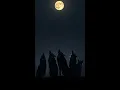 Download Lagu The Shocking Truth Behind Wolves Howling at the Moon!