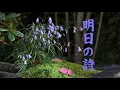 明日の詩　　milkye326　　(オリジナル　杉 良太郎)