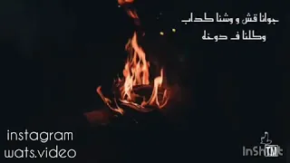 جوانا قش و وشنا كداب    حالات واتساب    ادم    حالة واتس     فيديو واتساب   حزين   حالات واتساب حزين دندنها