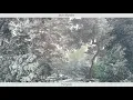 Sabr Alptekin - Fairytale