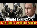 Download Lagu Итоги расследования «Паутины»: вся диверсионная группа задержана. Сенсационный обыск