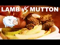Why sheep lamb mutton tastes sheepy