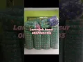 Download Lagu kasur bantal guling kapuk seprei sawal bantal guling