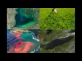 Algal Blooms and Eutrophication