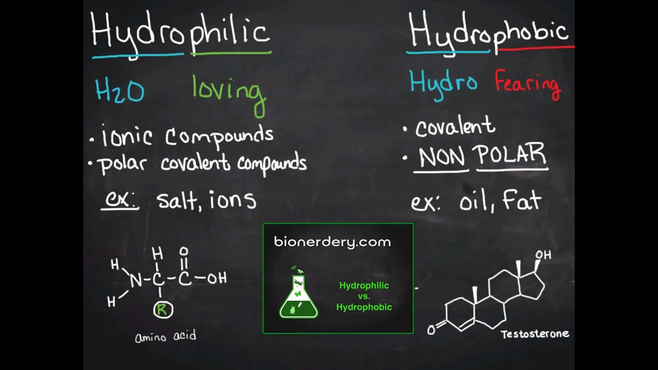 Hydrophilic vs. Hydrophobic