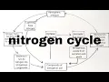 nitrogen cycle how to draw nitrogen cycle diagram nitrogen cycle diagram draw nitrogen cycle