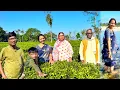 Lagu ডুয়ার্সের প্রথম দিন সকালে দিগন্তজোড়া সবুজ চা বাগান আর মূর্তি নদীর স্বচ্ছ জল আমাদের মন ভুলিয়ে দিল