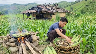 นอนไร่หาของป่ามาทำอาหารบ้านๆแบบชาวเขา[อาข่าน้อย]