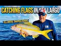 Catching Flag Yellowtail Snappers in Key Largo Reef Fishing Challenges