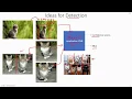 C 5 1 Ideas for Object Detection CNN Machine Learning EvODN