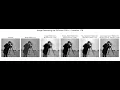 Image Denoising Variational Methods PDE Linear Perona-Malik TV Anisotropic Tensor Python