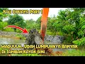 Download Lagu Waduuuh,Gimana Di Hulu Nggak Meluap...Udah Lumpurnya Super Banyak Di Tambah Kayak Gini.