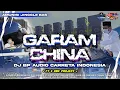 Lagu DJ GARAM CHINA STYLE PARTY BP AUDIO FT X ONE PROJECT IS GOING VIRAL ON TIKTOK WHICH PEOPLE ARE LO...
