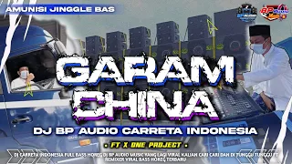 dj garam china style party bp audio ft x one project is going viral on tiktok which people are lo 