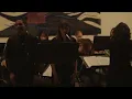 Download Lagu Flower Duet (Sous le dôme épais) Strings Duet