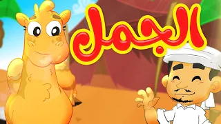 الجمل   طيور بيبي              دندنها