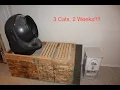 Ultimate Litter Robot Hack