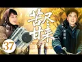 Download Lagu 【好看的电视剧】苦尽甘来37 | 陕北小伙高考落榜，带500块钱勇闯北京，靠工地搬砖赚出亿万身家，娶上北京姑娘的故事 #孙俪 #雷佳音