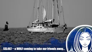 SSL467 ~ a WOLF coming to take our friends away…