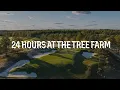 The Tree Farm Our 24-Hour Experience at a LinksDAO Signature Event