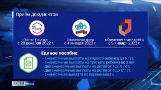 На единое пособие от жителей Омской области поступило 13,5 тысяч заявлений