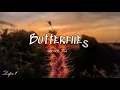 Butterflies Song by James TW | song lyrics