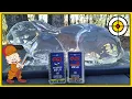 Jelly Rabbit Hunting CCI Stinger vs CCI Velocitor Ballistic Gel Rabbit Test