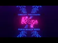 Lagu CARDI B \u0026 MEGAN THEE STALLION - WAP (PURI x AKALEX REMIX)