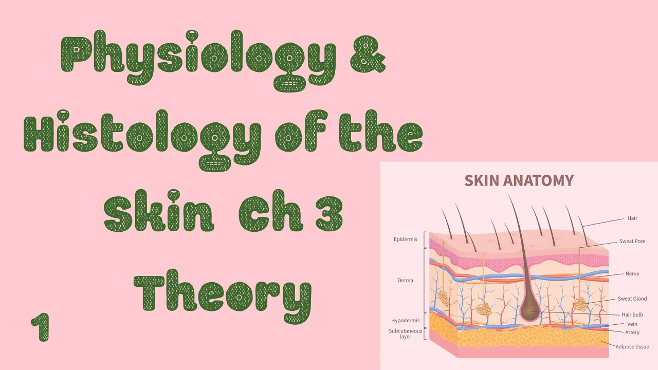 Physiology and Histology of Skin  1